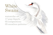 Watercolor swans, an Animal Illustration by Budogoshch (Thumbnail 1 of 8)