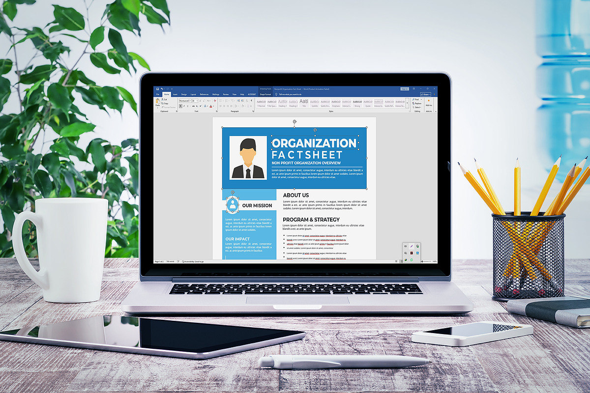 Nonprofit Organization Fact Sheet, a Stationery Template by obayes (Photo 4 of 4)