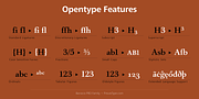 Barocco PRO, a Serif Font by preussTYPE (Thumbnail 5 of 12)
