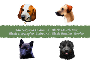 Dogs Pet Portraits Art Print Set 18