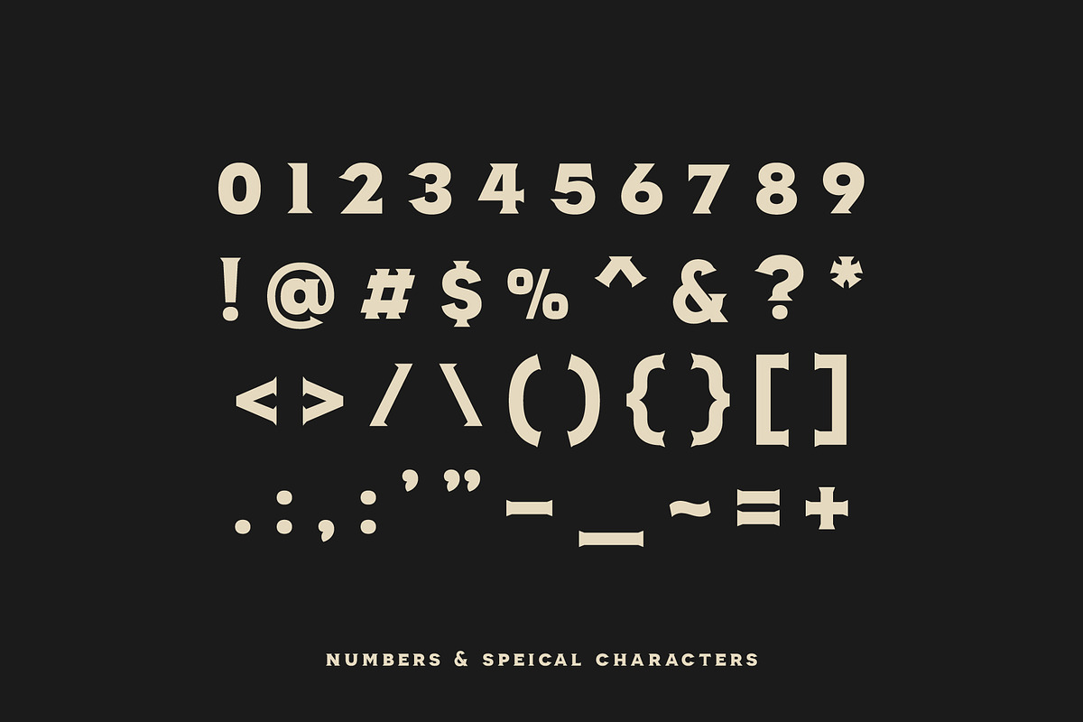 American Mortar -Vintage Font Family, a Serif Font by Creative Type (Photo 9 of 10)