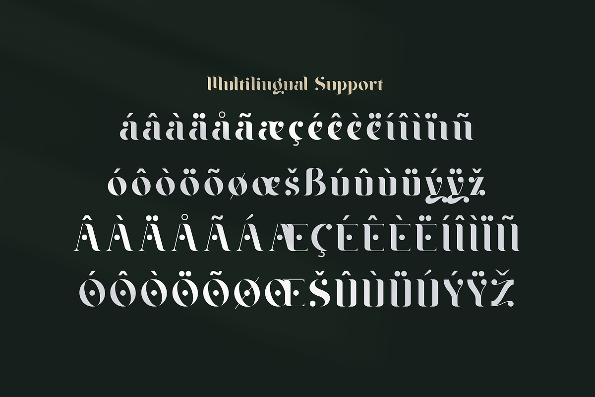 Braga Serif - Classic & Modern, a Serif Font by Lettertype Studio (Photo 8 of 10)