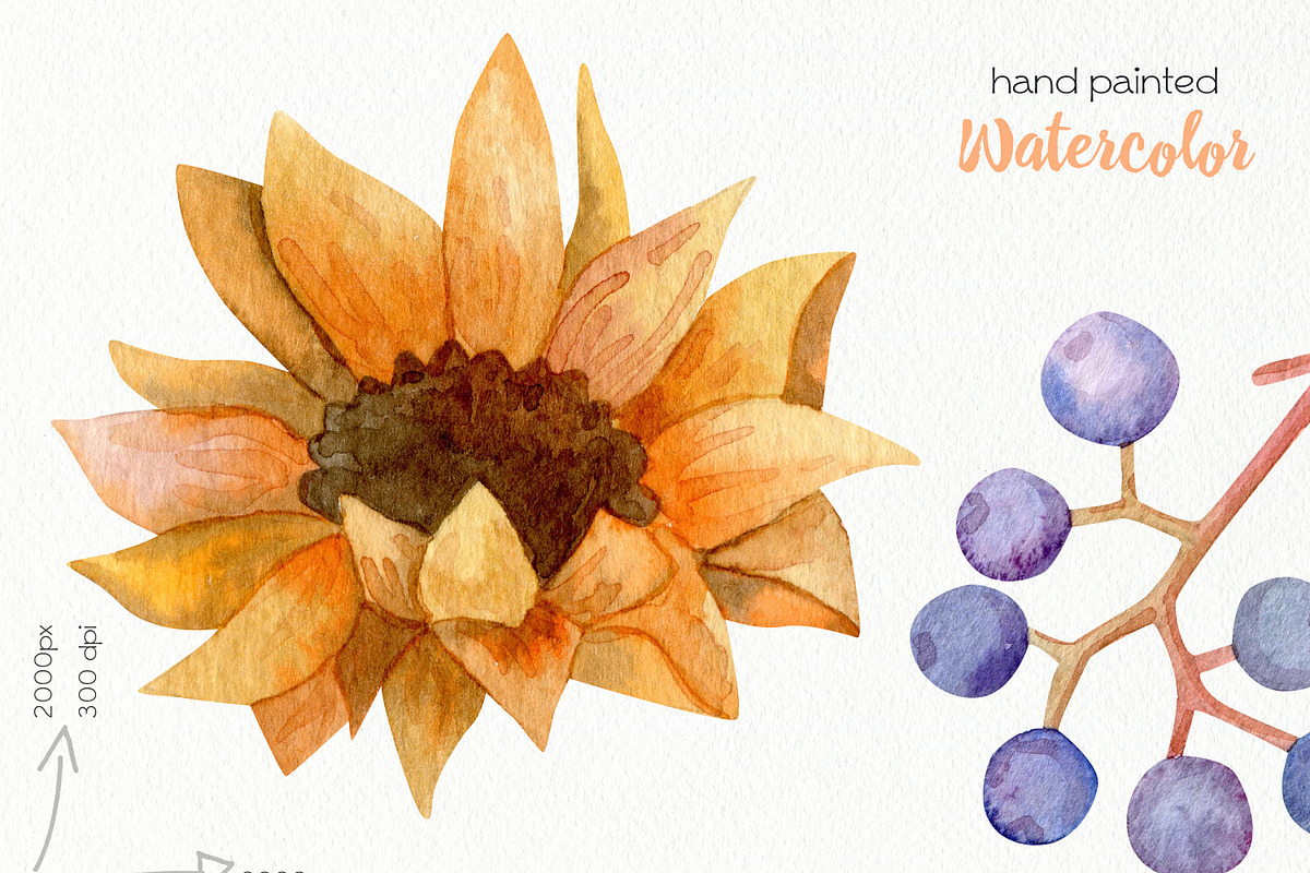 Watercolor Autumn Clipart. Pumpkin., a Decorative Illustration by OllyKo Art (Photo 9 of 9)