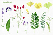 Florals watercolor set, an Illustration by Elegantia (Thumbnail 5 of 11)