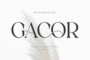 Gacor - Stylish Serif Font, a Serif Font by Aqeel_Art (Thumbnail 1 of 9)