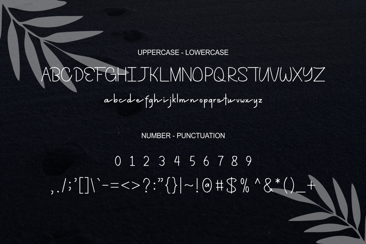 Dellcince - Font, a Script Font by artchiles_design (Photo 4 of 5)
