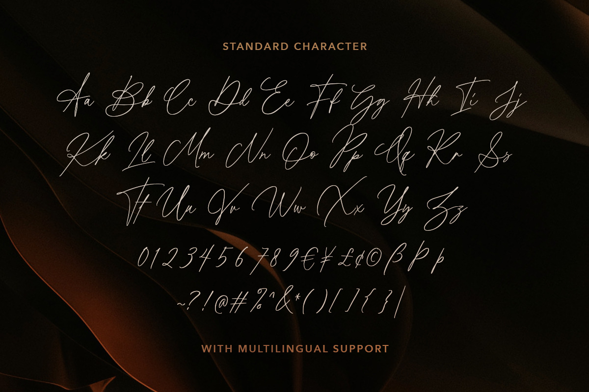 Donna Smith - Stylish Signature, a Script Font by Sarid Ezra (Photo 10 of 10)