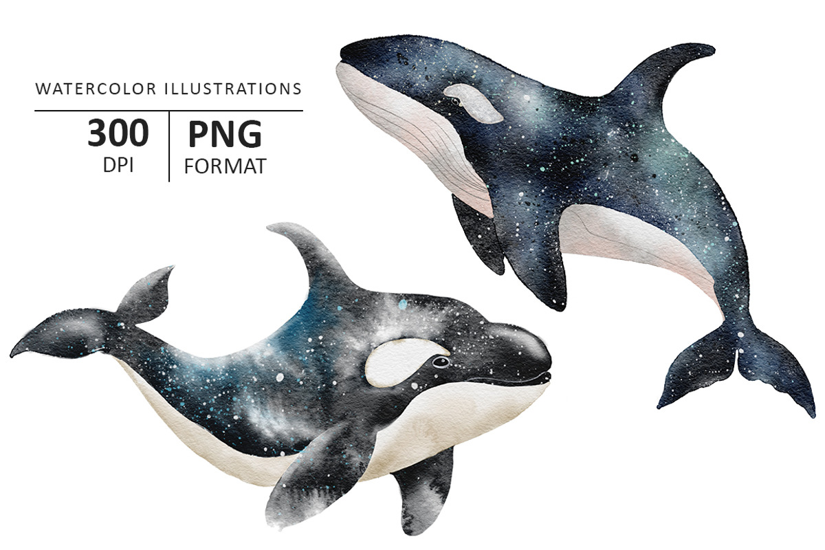 Octopus, Killer Whale and crab, an Animal Illustration by Evgeniia (Photo 2 of 4)