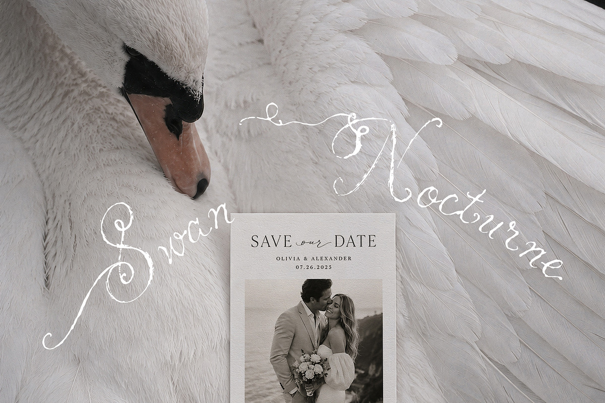 Swan Nocturne Editorial Mockups, an Advertising Mockup by Muse Mockups (Photo 12 of 12)
