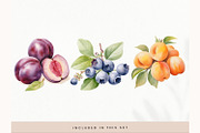 Watercolor Fruit Clipart, Fresh PNG, a Decorative Illustration by illuztrate (Thumbnail 4 of 13)