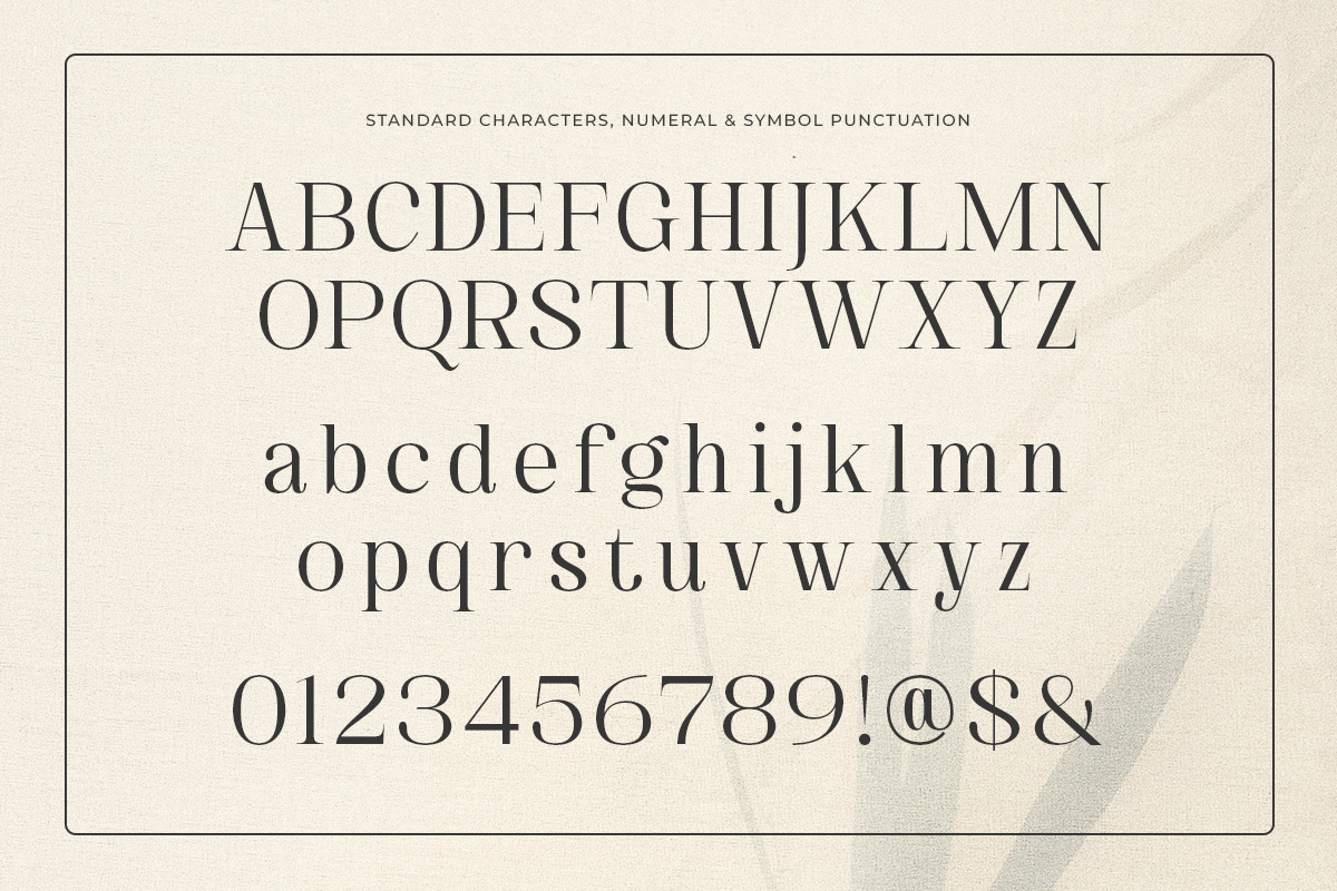 Blissful Sunshine - Romantic Swash, a Serif Font by Shakira Studio (Photo 10 of 10)