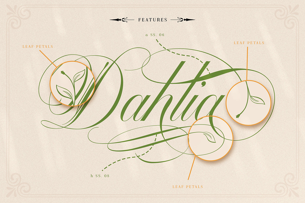 Mollani Nature Script, a Script Font by alit design (Photo 19 of 20)