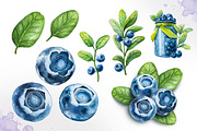 Watercolor blueberry, a Decorative Illustration by AlexGreenArt (Thumbnail 2 of 3)