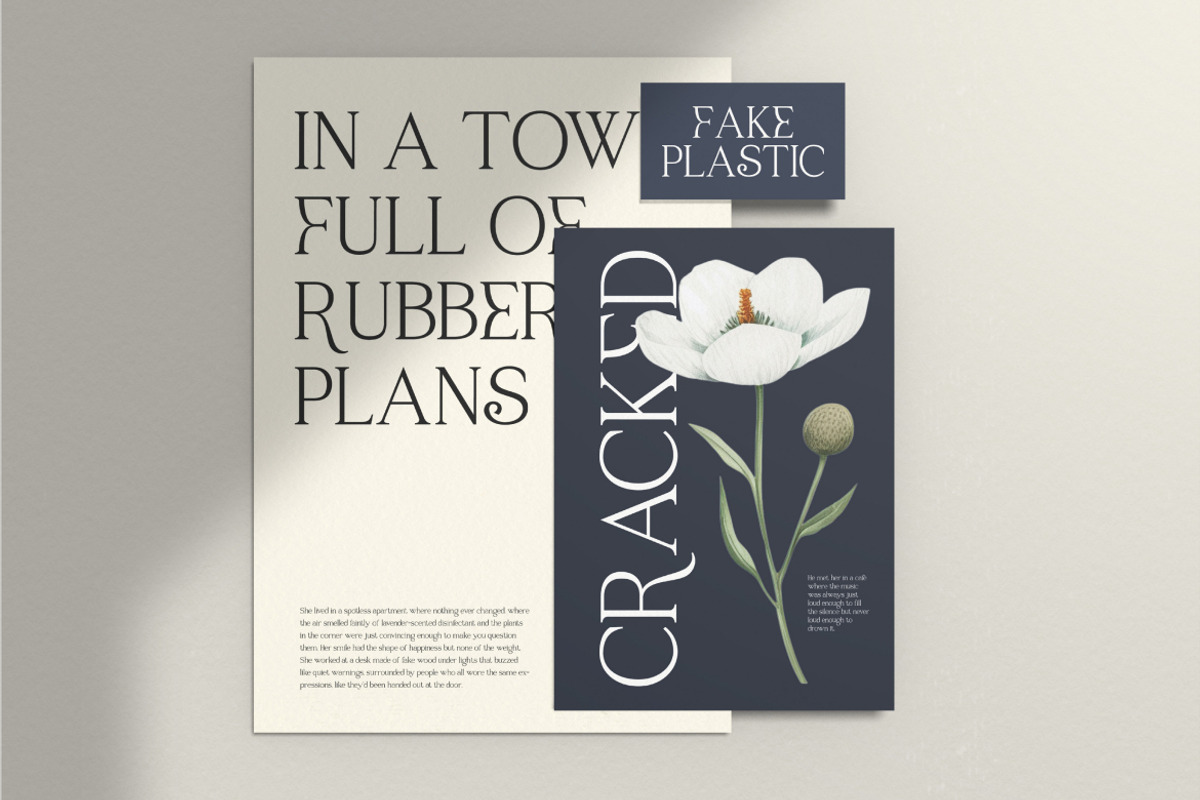 Raveny Modern Elegant Serif, a Serif Font by Vadovastd (Photo 6 of 9)