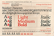 Ethica - Serif font family, a Serif Font by Artistic & Unique (Thumbnail 2 of 15)