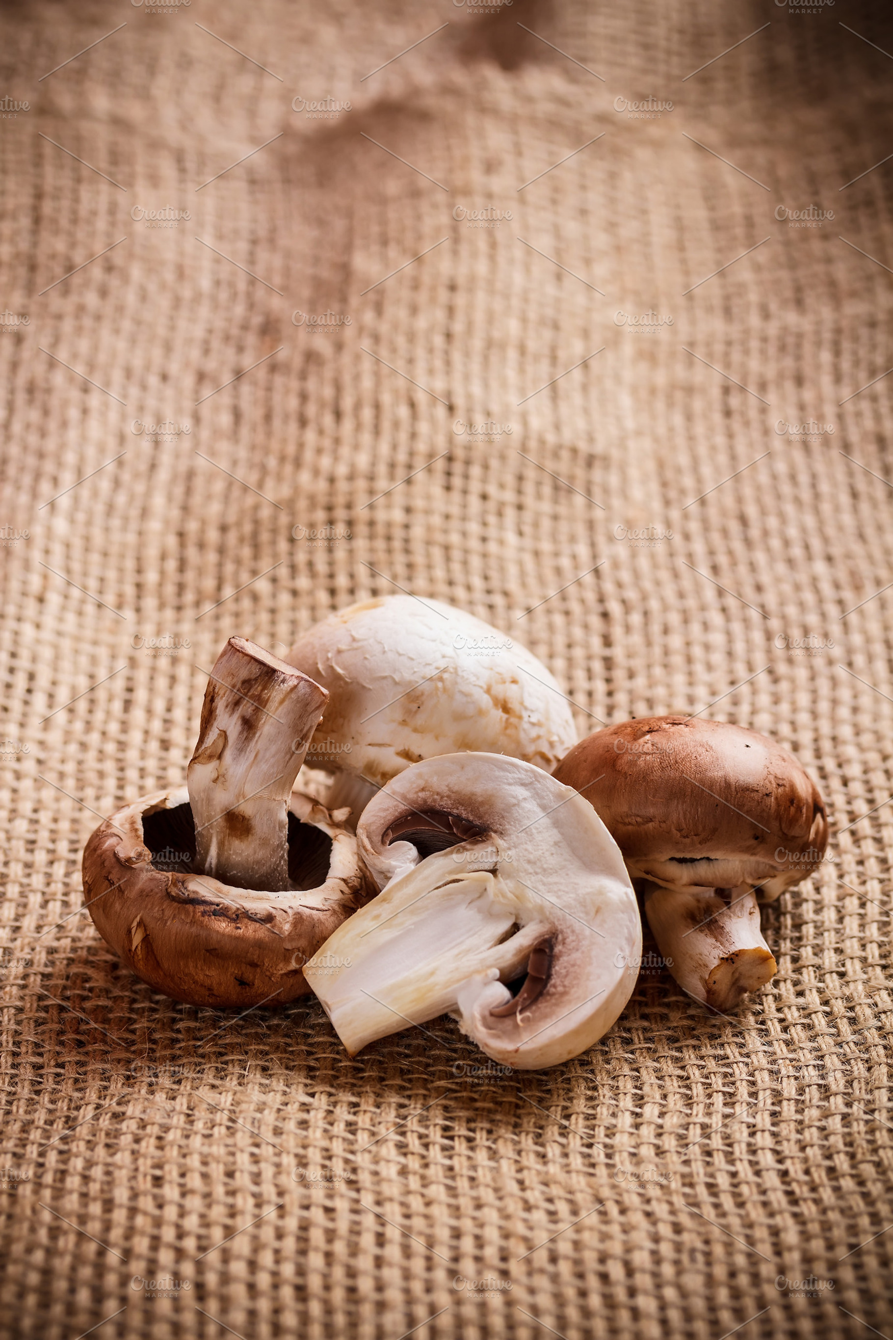 Fresh Edible Mushroom
