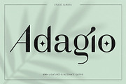 Adagio Decorative Ligature Font Duo, a Sans Serif Font by Studio Aurora (Thumbnail 1 of 12)