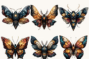 Mystical Moth Clipart Bundle, an Object Illustration by Design Scotch (Thumbnail 2 of 9)