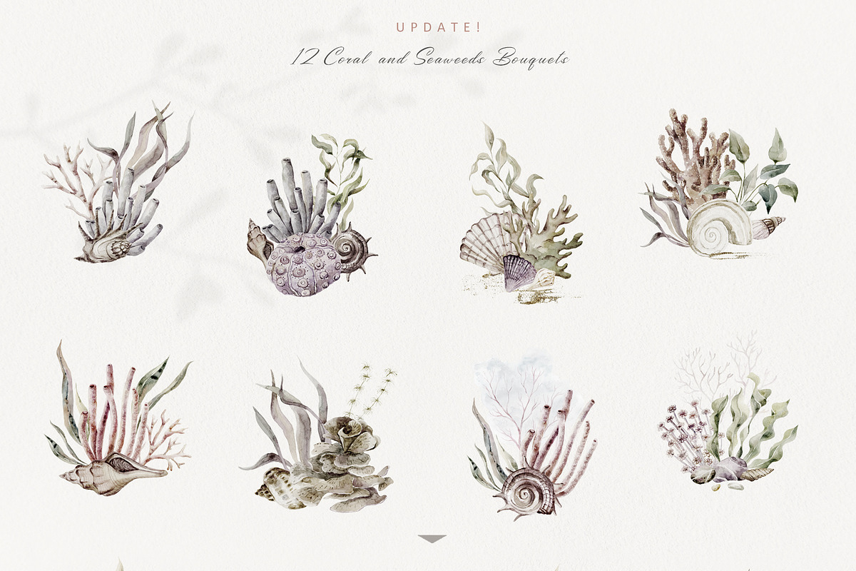 Underwater Magic. Marine Bundle., an Animal Illustration by Designwork (Photo 5 of 21)