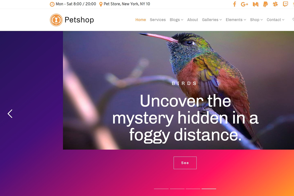 Petshop & Pet Care WordPress Theme, a WordPress Template by Visualmodo (Photo 4 of 30)