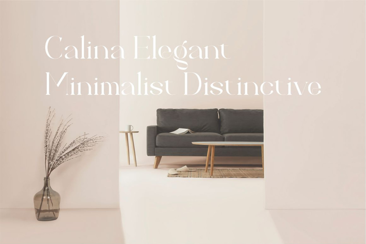 Calina serif classy font, a Serif Font by suhadidesign (Photo 3 of 18)