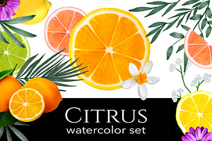 Citrus Watercolor Graphics Set