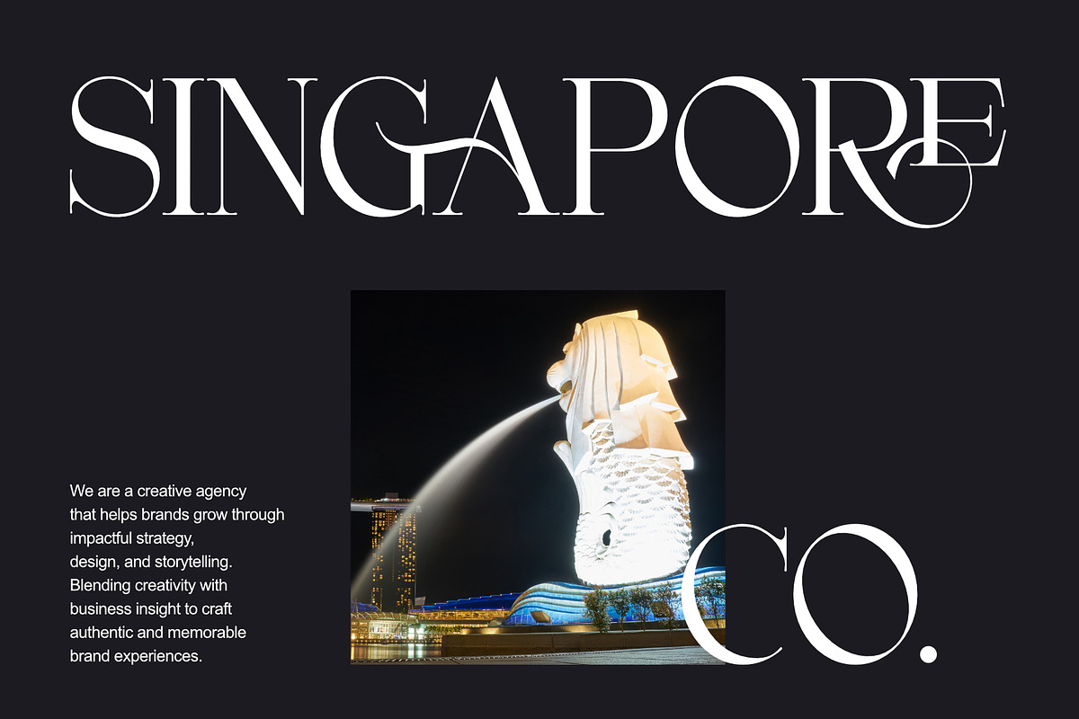 Rakige - Elegant Corporate Ligature, a Serif Font by Sealoung (Photo 2 of 10)
