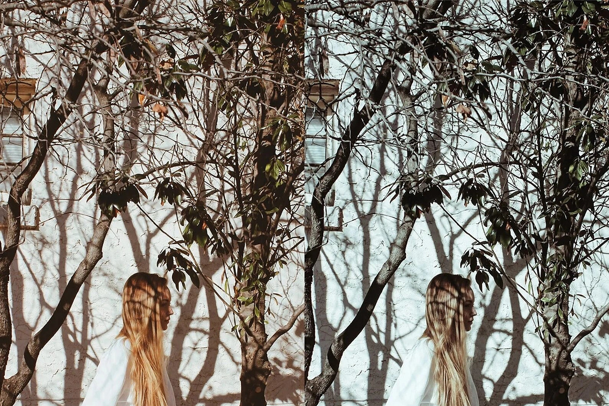 10 Moody Mobile Lightroom Presets, a Preset Add-On by LucaTheme (Photo 4 of 9)