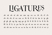 Astegra - Ligature Serif, a Serif Font by Mulkan Nazir (Thumbnail 16 of 17)