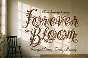 WynsteraQalis Decorative Floral font, a Script Font by HypeWorksCo (Thumbnail 20 of 24)