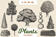 Hand drawn plants, an Object Illustration by CGterminal (Thumbnail 1 of 7)