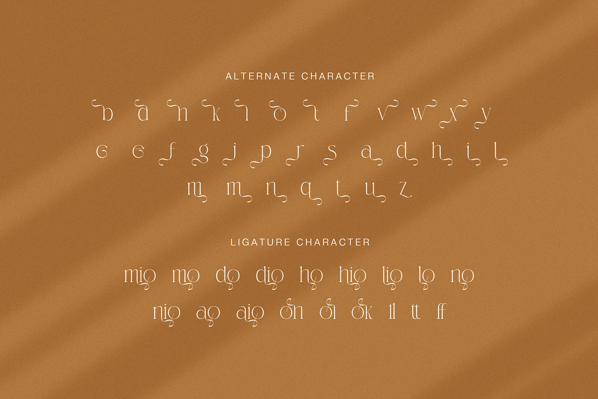Gimone Elegant Serif Display Font, a Serif Font by Graphicxell (Photo 8 of 8)