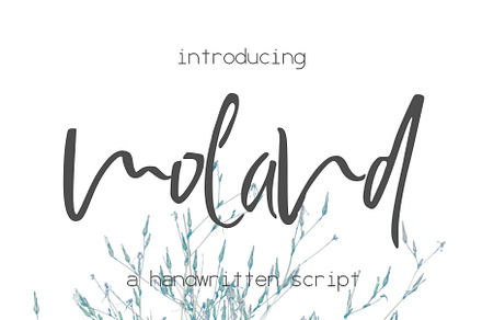 Moland Font, a Script Font by SophieSaxo