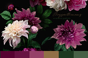 Pattern Peonies and Chrysanthemums, a Pattern Graphic by Yana Dobrik (Thumbnail 7 of 11)