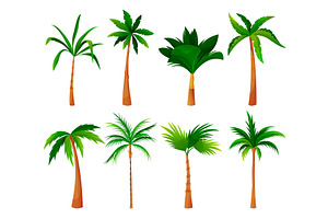 Palm tree or coconut palm set