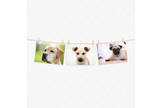A4 prints mockup with clothespins, a Print Template by Dorado Stock (Thumbnail 3 of 3)