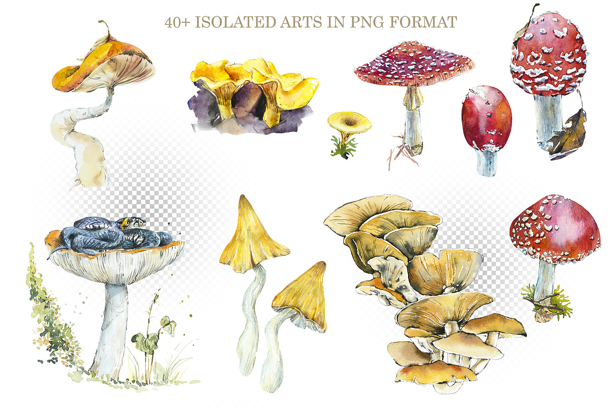 Watercolor Forest Sketches, an Object Graphic by Budogoshch (Photo 2 of 5)