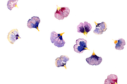Ommm... watercolor clipart set, an Illustration by masha gross (Thumbnail 4 of 5)
