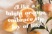 Garden Rosila Modern Retro Serif, a Serif Font by timelesstype.co (Thumbnail 11 of 20)