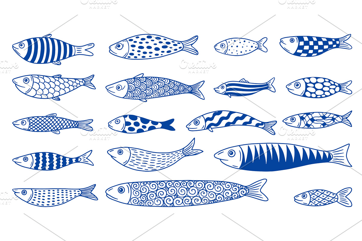Hand drawn sardines. Doodle sardines, an Animal Illustration by Valerie Bodnar