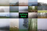 Foggy Forest Photo Pack preview 2