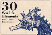 Marine Animal Hand Drawn Elements, an Animal Illustration by Artolabs (Thumbnail 1 of 6)
