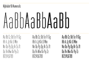 Fancy Pants Typeface, a Sans Serif Font by Ben Buysse (Thumbnail 8 of 12)