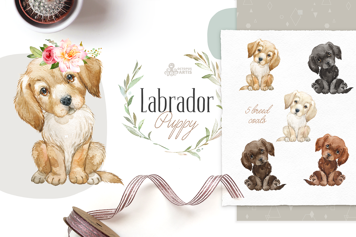Puppy Paws 4. Watercolor Collection, an Illustration by OctopusArtis (Photo 3 of 11)