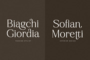 Gerislan Modern Font Serif, a Serif Font by Storytype Studio (Thumbnail 5 of 15)