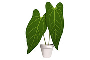 Anthurium Dark Mama Leaf, a Decorative Illustration by Ghagra (Thumbnail 2 of 4)