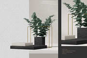5 Podium with Transparent Background, a Background Graphic by faustudio (Thumbnail 5 of 7)