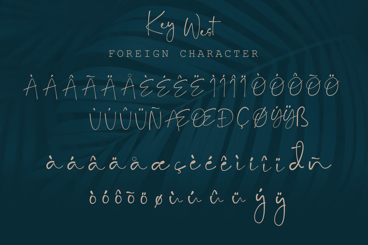 Lovely Script Bundle, a Script Font by Digital Hustler (Photo 19 of 33)