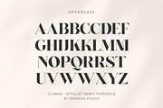Glinka - A Stylist Serif Font, a Serif Font by zeenesia (Thumbnail 19 of 25)