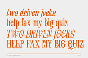 Pheromone Ultimate | Modern Classic, a Serif Font by Lettertype Studio (Thumbnail 6 of 20)